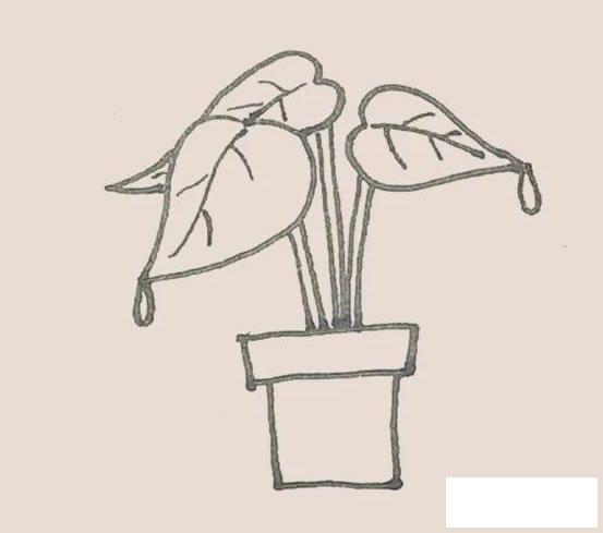 滴水观音简笔画的画法步骤图教程