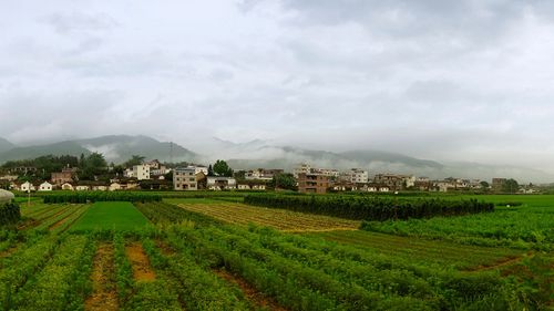 乡村早晨