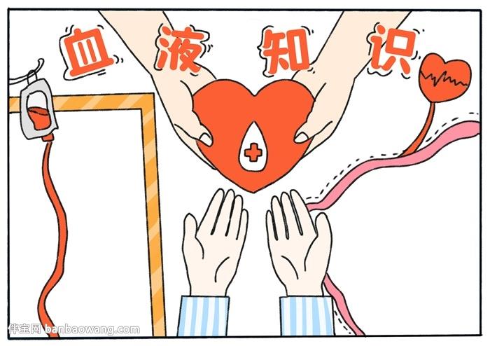 关于血液知识的手抄报