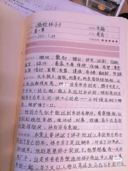 骆驼祥子第一章读书笔记_读书笔记_骆驼怎么样_文化