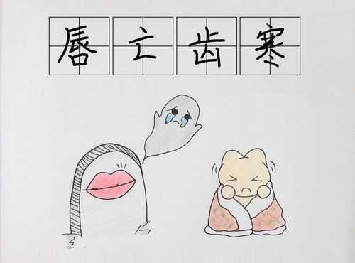 1/ 12 乐乐说牙 唇齿相依 唇亡齿寒 口齿生香