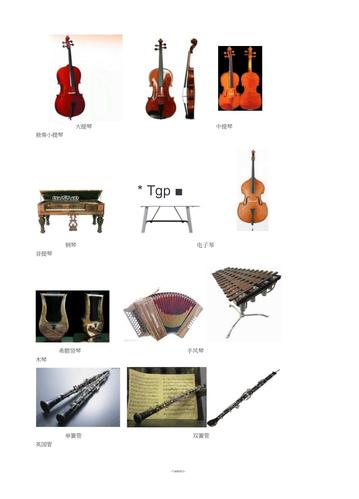 常见乐器名称 乐器图片