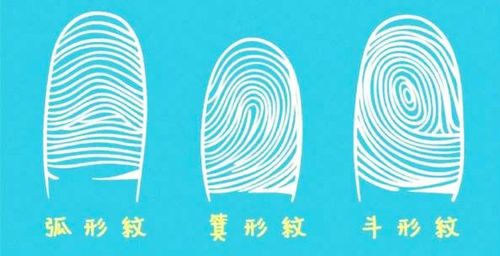 指纹人人都有,各不相同!