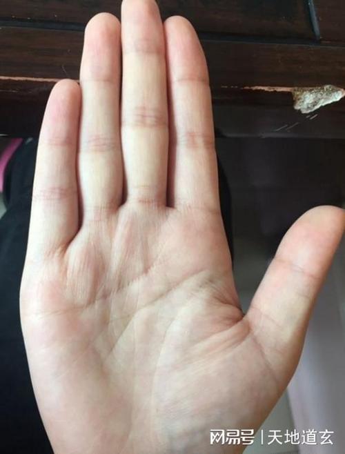 手相图解女人罕见的凤尾纹手相
