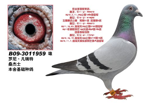 罗尼.凡瑞特