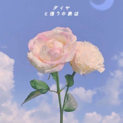 季清ins风唯美花朵治愈风景静物_风景静物头像_我要