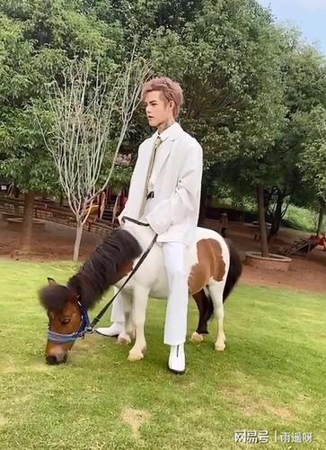 殷世航骑小矮马被拍路人镜头下身高不足1米4璐璐眼光不一般