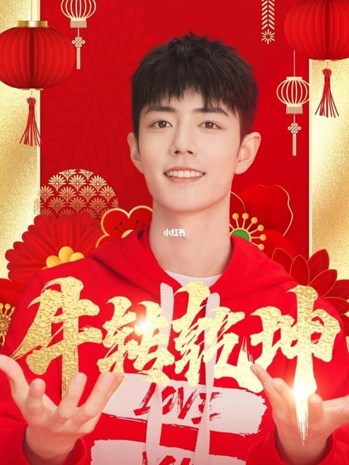 新年去哪玩_肖战新年快乐_娱乐_明星