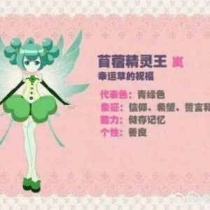 四叶草精灵王岚