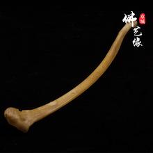 天然鹰骨整根原料 可入药 可做鹰骨笛子