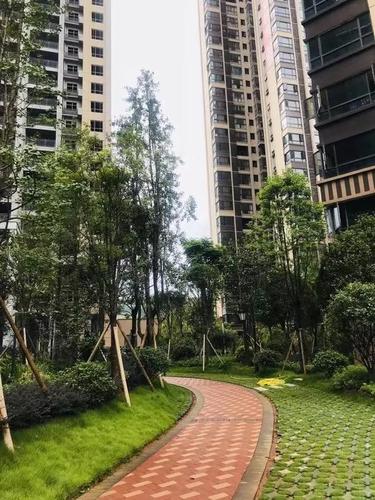 郴州恒隆国际| 点滴改变,美好正在发生 - 动态 - 吉屋