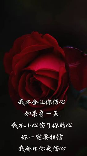 真心换伤心