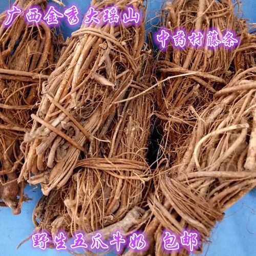 特价五指毛桃鸡_野生新鲜五指毛桃根牛奶藤根泡酒炖鸡500g非河源滋补