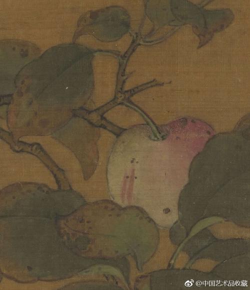 五代黄筌《苹婆山鸟》