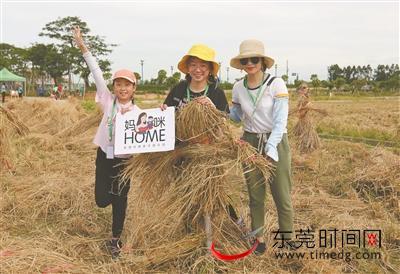 扎稻草人