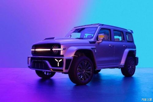 赛博朋克坦克300,全球68号车主