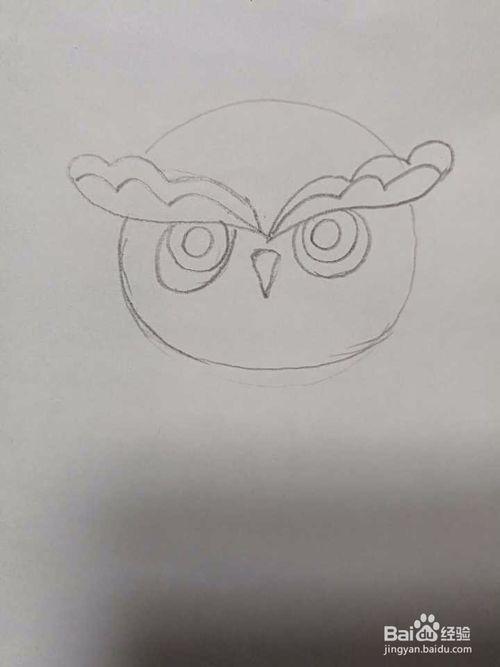 手工/爱好 > 书画/音乐  1 在画纸中画出一个蛋圆形,做为猫头鹰的头