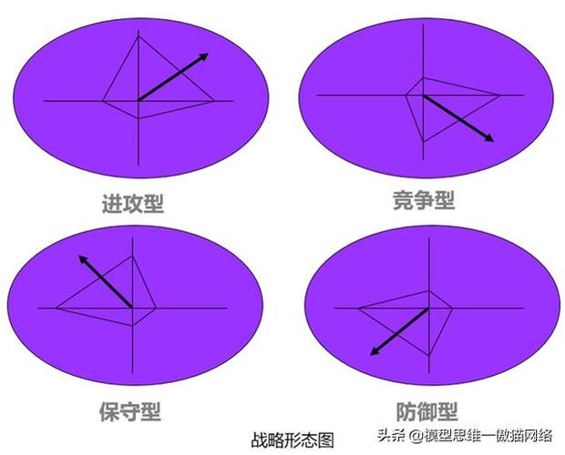文化 企业核心价值 战略管理 战略决策 竞争战略  自space矩阵原点至x