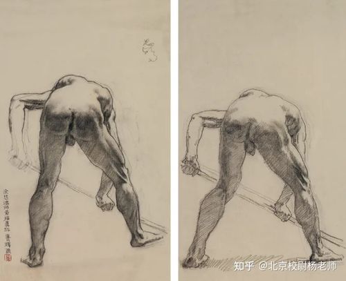 值得收藏!徐悲鸿素描人体作品