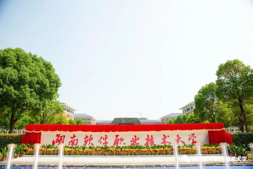 湖南软件职业技术大学在举办方金侨投资控股集团和学校广大师生的奋发