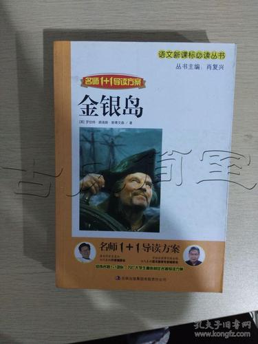 金银岛id23349128e5中图分类法i文学