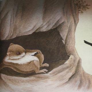 寒号鸟是什么动物解答你的疑惑