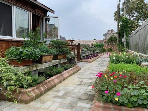 助力花博园艺赛,崇明农家小院变花园