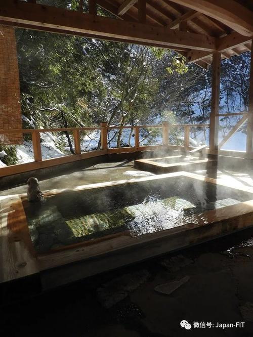 我在日本富山县山田温泉的老字号旅馆「玄猿楼」浸泡1300年历史的古汤