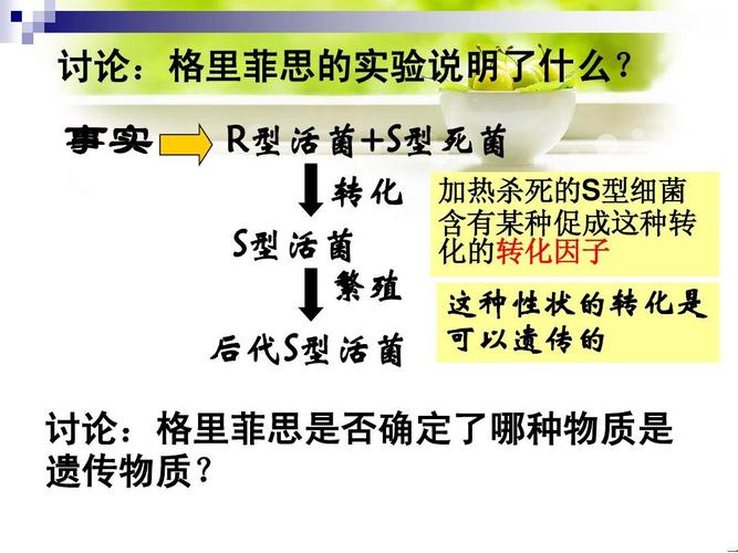 1《探索遗传物质的过程》课件(苏教版必修2)ppt  讨论:格里菲思的实验