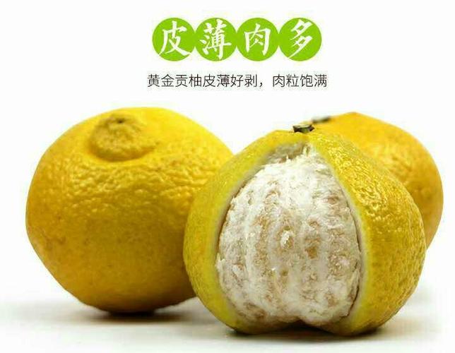 写美篇关注 黄金贡柚,外形神似柚子,皮色金黄,含硒非常高,口感甜脆无