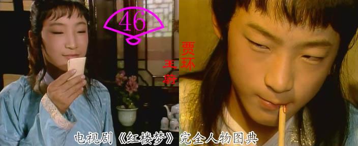 引用 红楼梦完全人物图典(1)