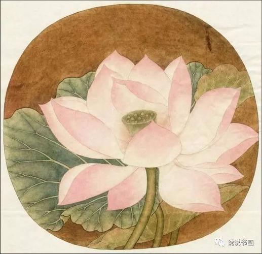 书画联盟丨《出水芙蓉图》设色图文步骤