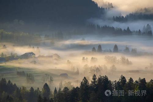 有雾的早晨雾在高山河谷