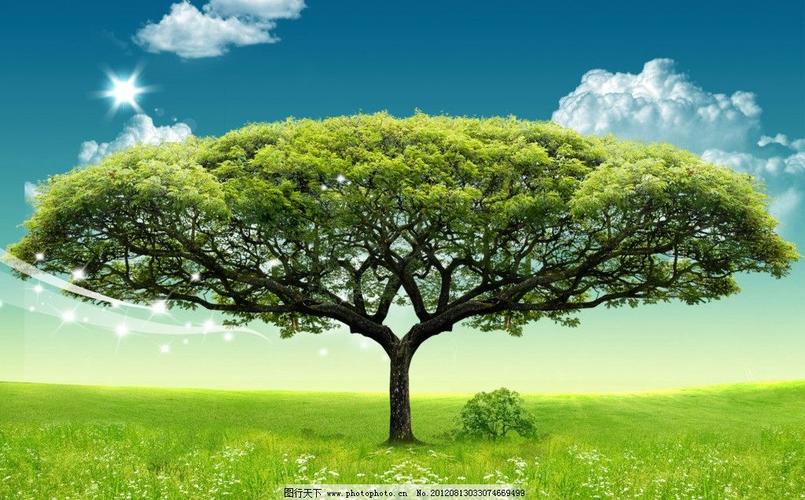 大树风景的图片大全