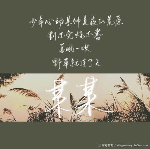 45 #木苏里#某某#江添#盛望#添望#手写#写个字拍给我吧   nov