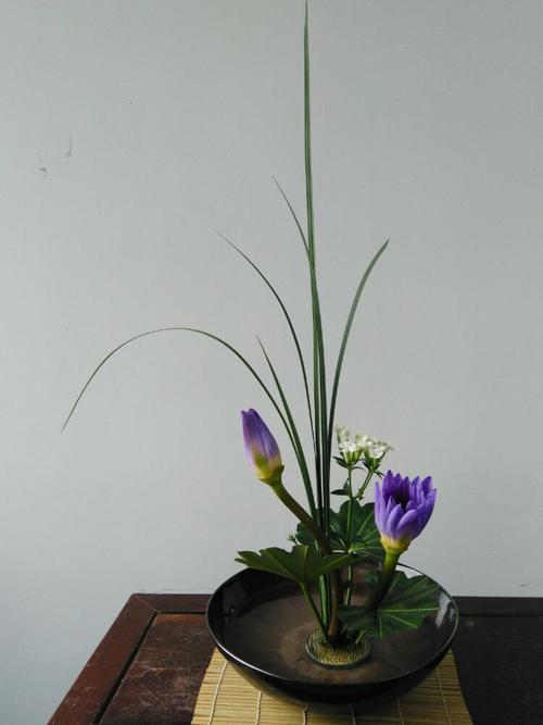 茶艺插花初级班作品欣赏(水盘,碗,蓝花)