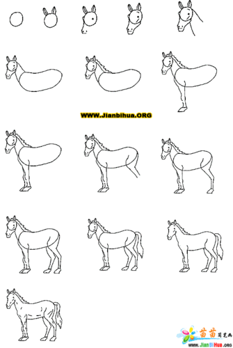 马的简笔画图片大全8张