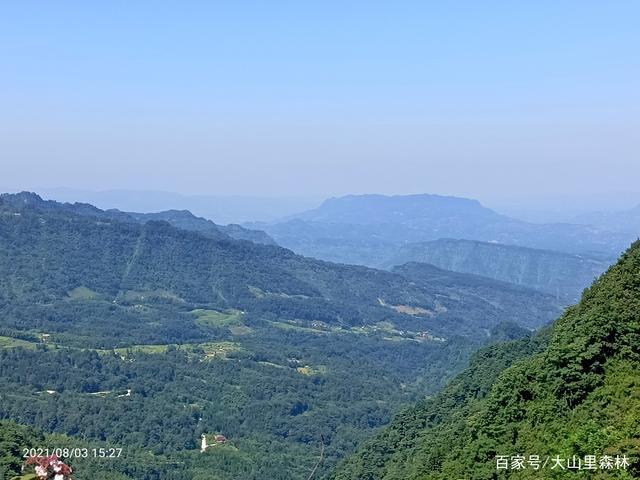 绥江森林风景