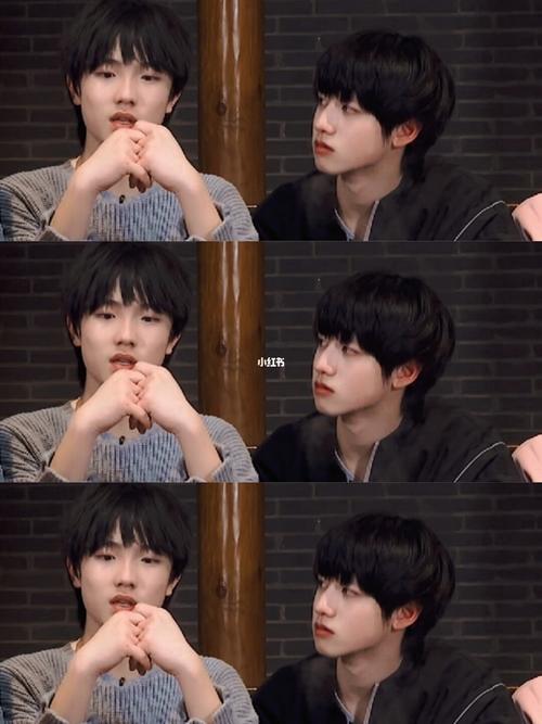 朱志鑫苏新皓_娱乐_明星娱乐资讯