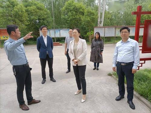 李杰赴界首镇督查推进经济社会和乡镇党委换届工作