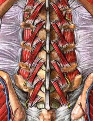 针刀治疗腰骶骨方案收藏