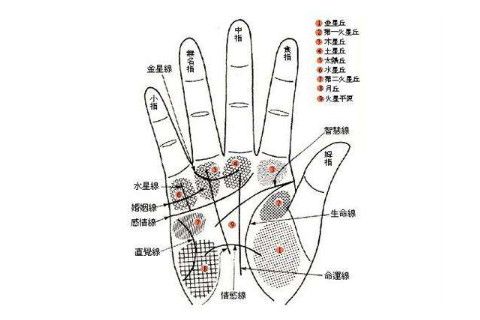 男女手掌有痣的命运男的左手有痣,女的右手有痣,大小和颜色都差不太多