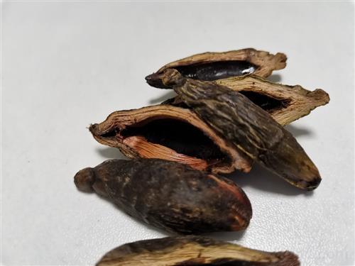 槟榔有好处也有坏处,长期嚼食槟榔危害大