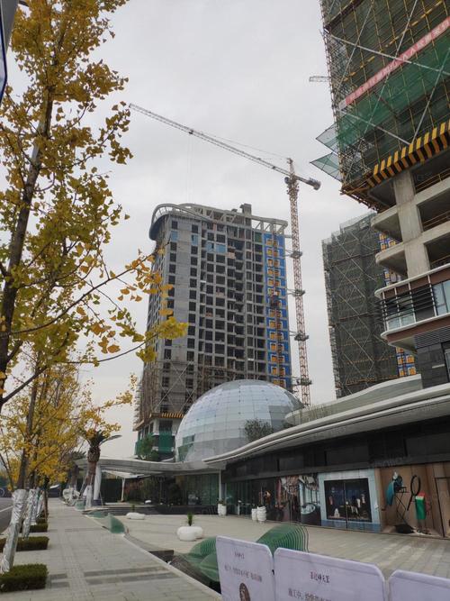 德商迎晖天玺图片_德商迎晖天玺实景图(成都链家新房)