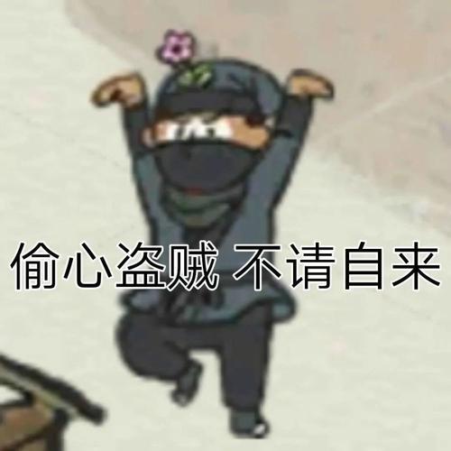 偷心盗贼,不请自来!