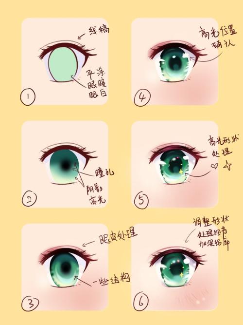 圆乎乎的眼睛,睫毛短促,年纪较轻的可爱女孩纸 以上都是一些简单的