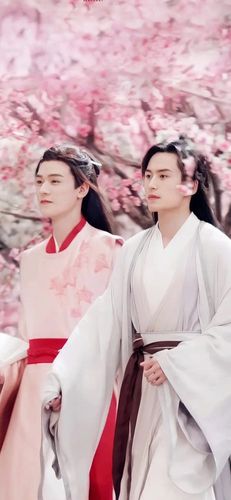 手机桌面壁纸——山河令(五)