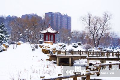 鞍山孟泰公园雪景