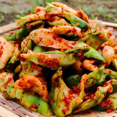 四川宜宾特产新鲜菱角菜麻辣新鲜榨菜儿菜下饭菜咸菜开胃菜爽口菜