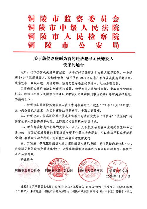 铜陵四部门联合发布通告,敦促以盛丽为首的违法犯罪团伙嫌疑人投案.
